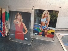 🔥WWE Torrie Wilson