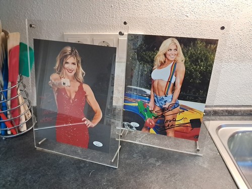 Wwe torrie wilson - torrie,