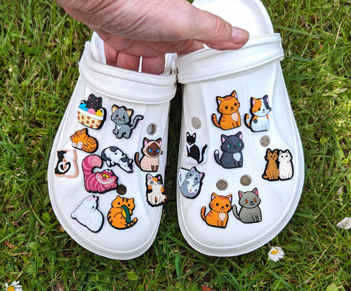 Katzen crocs anstecker - katzen,