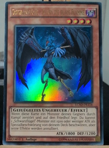 Schwarzflügel shura die - schwarzflÜgel,