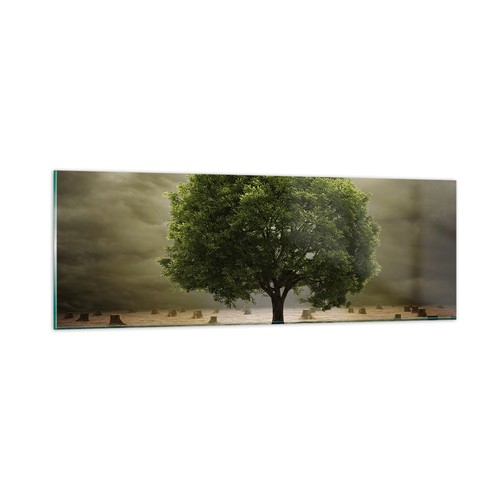 Wandbilder 90x30cm glasbild - wandbilder,