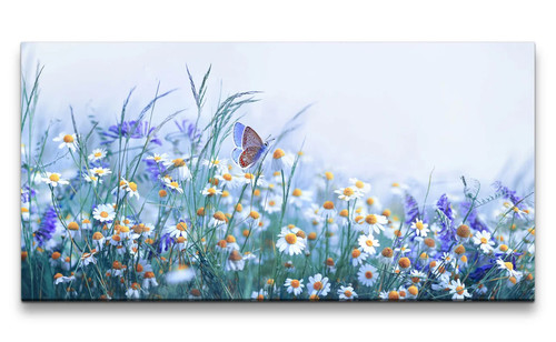 120x60cm leinwandbild - 120x60cm,