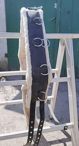 Longen set für große ponys - große,