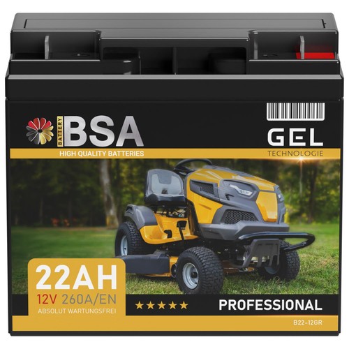 Rasentraktor batterie 12v 22ah - rasentraktor,