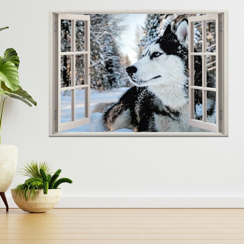 Husky hund schnee - im, 3d