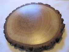 1 x Holzscheibe Eiche 20 cm