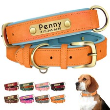 Hundehalsband Personalisiert