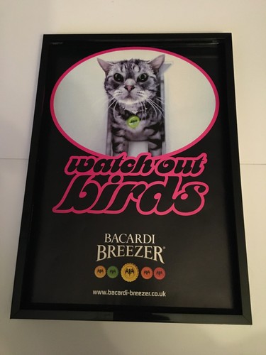 Bacardi breezer 2001 - bacardi,
