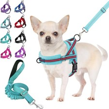 Hundegeschirr mit Leine