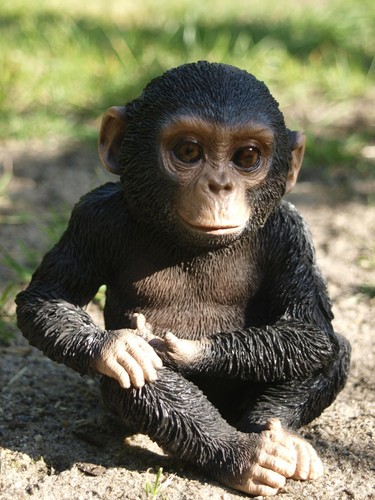 Affe schimpanse deko figur - schimpanse,