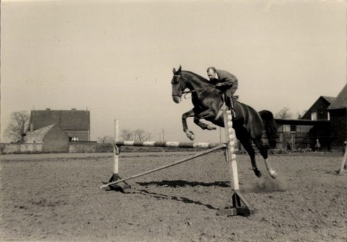 Foto springreiten sprung - foto,