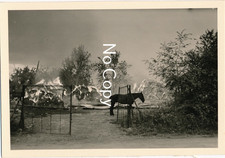 Foto WW2 military: France -