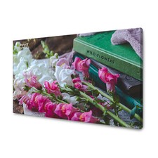 Leinwand-Bilder: Pflanzen - Botanik - Löwenmäulchen, Größe: 40x30 bis 120x80 cm