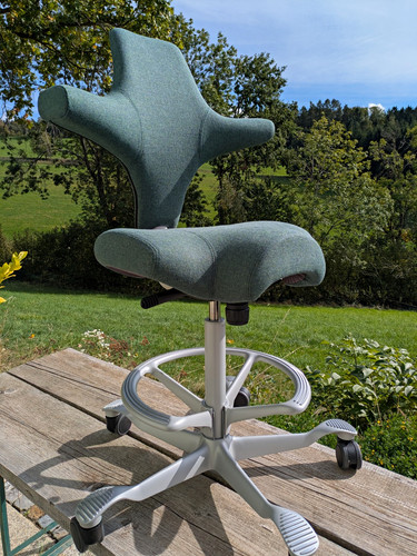 Håg capisco 8106 - hÅg,