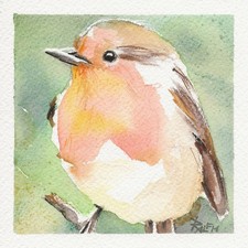 VOGEL AQUARELL