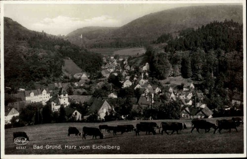 Bad grund 1935 - grund, viehherde