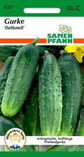 Gurke Delikateß - halblange, ertragreiche Freilandgurke - Gurken Samen Saatgut