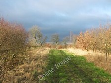 Foto 12x8 Fahrt durch Wald