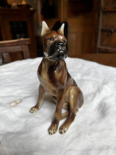 Wien vintage boxer hund - wien,