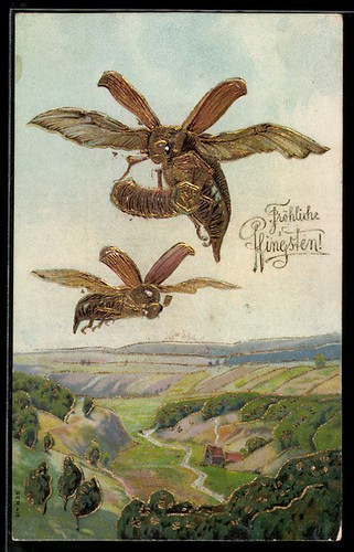 Ansichtskarte fliegende - ansichtskarte,