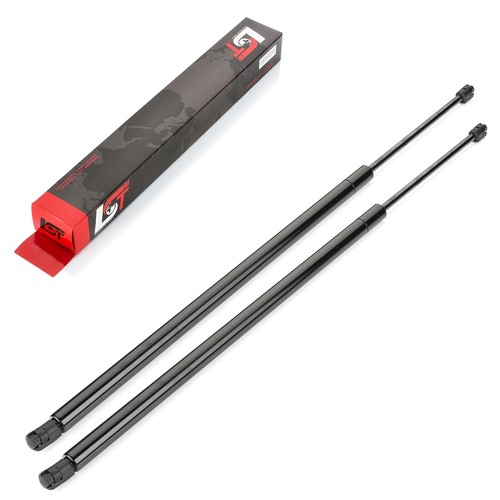 Gasfeder - 2x,