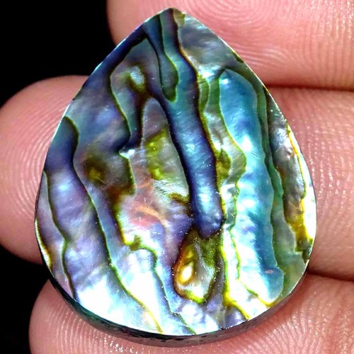 Handmade abalone shell - abalone,