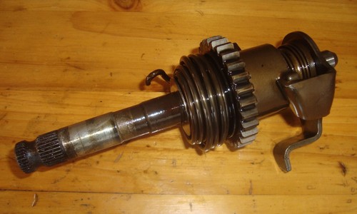 Rex 125 chopper typ - chopper, smchp