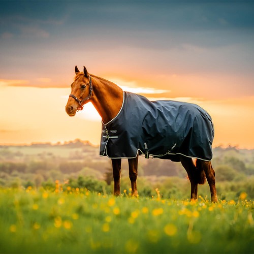 Horseware amigo ripstop 900d - amigo,