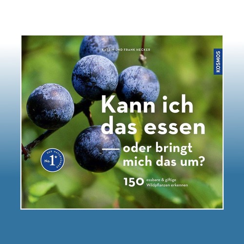 Kann ich das essen oder - , bringt