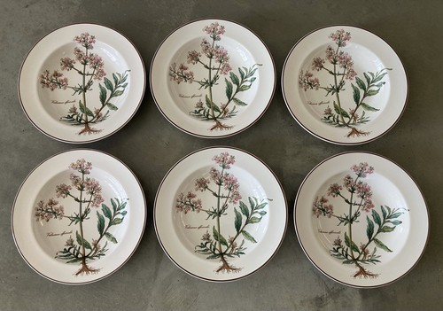 Villeroy boch botanica 6x - botanica,
