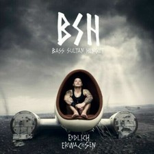 Bass Sultan Hengzt - Endlich