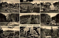 Oberhof Thüringen Thüringer Wald 1960 DDR Spungschanze Panorama Landschaft Rehe