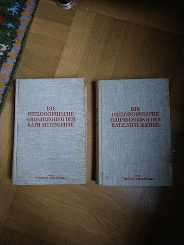 Die philosophische grundlegung - philosophische,