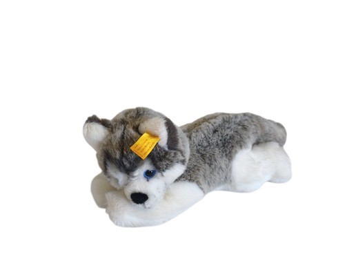 Steiff husky bernie 27cm - 27cm, |