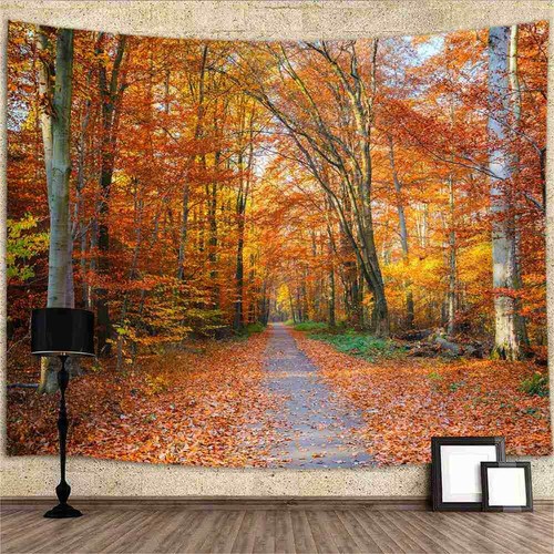 Herbst wald natur - wald,