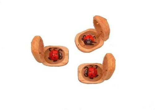 Glückskäfer marienkäfer - 1, glückskäfer,