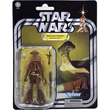 MOMAW NADON HAMMERHEAD ANH