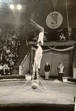 Zirkus Artisten Artistik