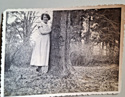 Altes foto vintage schöne - altes,