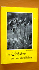 Seltener bildband von 1968 - seltener,