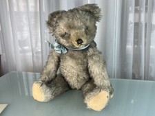 Alter Sammler Teddy Bär