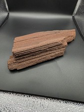 Versteinertes Holz,Zwenkau