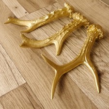 3 Rehstangen goldfarbig Gehörne Rehgeweihe Geweih Stangen Stange 14.3.114