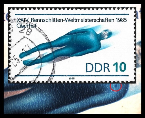 Rennrodel-Weltmeistersch