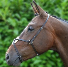 Hy Equestrian mexikanisches