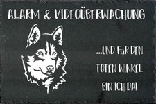 SIBERIAN HUSKY Hundewarnschild