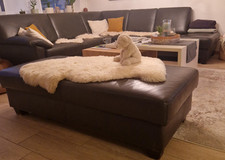 Polstergarnitur mit Schlaffunktion, Leder (Fotos bzgl Maße sind hinzugefügt)