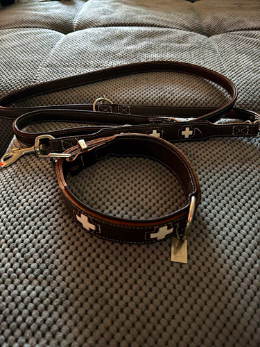Hundeleine passendes - hundeleine,
