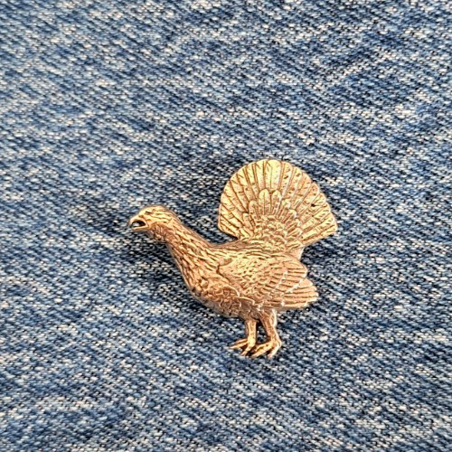 Auerhahn pin jäger - jäger, button