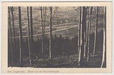 AK Bad Ziegenhals Blick von